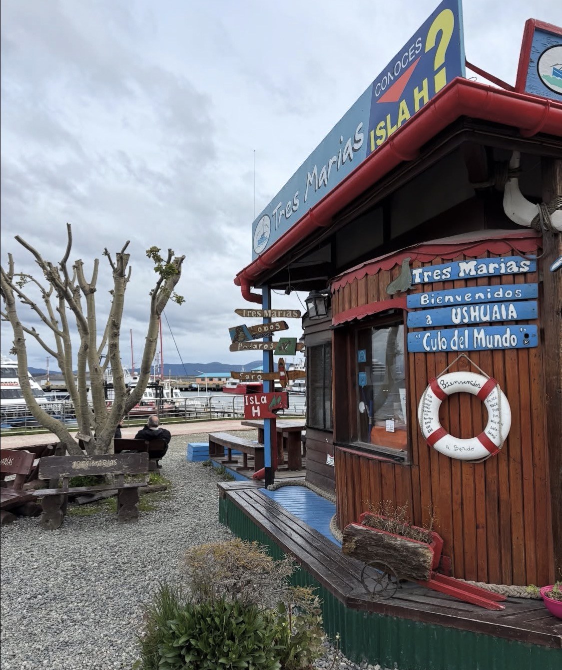 Patagonia glacier — excerpt